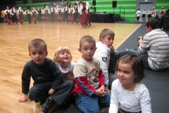 KUD “Budućnost“ iz Švehata organizovao vlaški bal