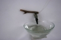 nowater_36