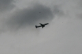 MG_5883_resize_exposure